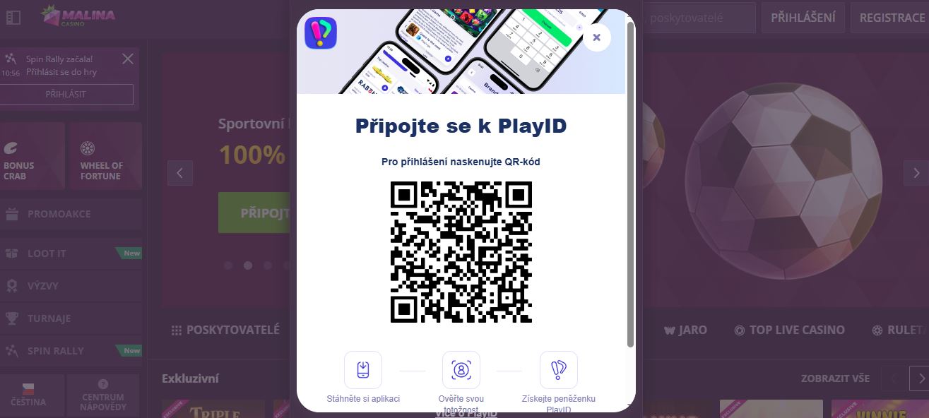 Naskenujte QR kód a připojte se k Malina Casino prostřednictvím mobilní aplikace peněženky