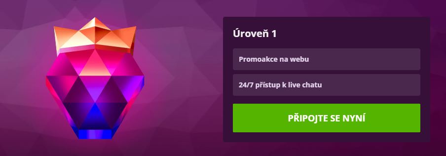 Využij výhody VIP programu a získej přístup k exkluzivním promoakcím na webu